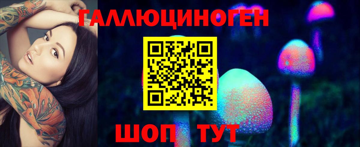 Псилоцибиновые грибы Cubensis Орехово-Зуево